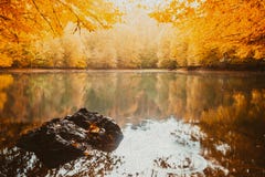 Soft view autumn landscape, autumnal park, fall nature. royalty free stock images Soft view autumn landscape, autumnal park, fall nature. royalty free stock images