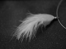 Soft white feather jewelry - greyscale Royalty Free Stock Images Soft white feather jewelry - greyscale Royalty Free Stock Images