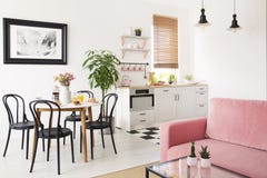 Sofá rosado en el interior blanco del apartamento con el cocinilla y sillas negras en la mesa de comedor Foto verdadera foto de archivo Sofá rosado en el interior blanco del apartamento con el cocinilla y sillas negras en la mesa de comedor Foto verdadera foto de archivo