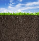 Soil or dirt section with grass under sky as royalty free illustration Soil or dirt section with grass under sky as royalty free illustration