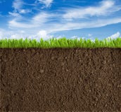 Soil, grass and sky background
