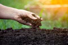 Soil in hand Royalty Free Stock Images Soil in hand Royalty Free Stock Images