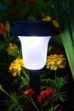 Sol- trädgårds- ljus i rabatt i blommaringblommor arkivfoton Sol- trädgårds- ljus i rabatt i blommaringblommor arkivfoton