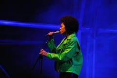 Solange Knowles se realiza en el festival 2013 del sonido de Heineken Primavera imagen de archivo libre de regalías Solange Knowles se realiza en el festival 2013 del sonido de Heineken Primavera imagen de archivo libre de regalías