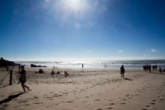 Sole e spiaggia ventosa fotografia stock libera da diritti Sole e spiaggia ventosa fotografia stock libera da diritti