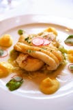 Sole Fillet With Asparagus And Radish Stock Image