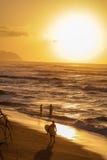 Solnedgång i Hawaii på stranden arkivfoton Solnedgång i Hawaii på stranden arkivfoton
