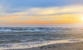 Solnedgång på stranden - blå timme - Usedom Fotografering för Bildbyråer Solnedgång på stranden - blå timme - Usedom Fotografering för Bildbyråer