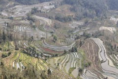 Solnedgången över YuanYang ris terrasserar i Yunnan, Kina, en av de senaste UNESCOvärldsarven royaltyfria bilder Solnedgången över YuanYang ris terrasserar i Yunnan, Kina, en av de senaste UNESCOvärldsarven royaltyfria bilder