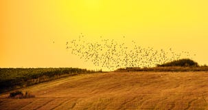 Soluppg?ng i Yambol, Bulgarien arkivfoto Soluppg?ng i Yambol, Bulgarien arkivfoto