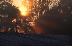 Soluppgång i lantgård i kwanzaen Sul, Angola royaltyfri bild Soluppgång i lantgård i kwanzaen Sul, Angola royaltyfri bild