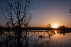 Soluppgång över sjön på våren, landskap i halvskuggan, reflexion royaltyfri fotografi Soluppgång över sjön på våren, landskap i halvskuggan, reflexion royaltyfri fotografi