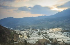 Soluppgång över YuanYang ris terrasserar i Yunnan, Kina, en av de senaste UNESCOvärldsarven arkivfoton Soluppgång över YuanYang ris terrasserar i Yunnan, Kina, en av de senaste UNESCOvärldsarven arkivfoton