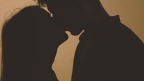 Sombra sincera cari?osa del beso de los pares del amor almacen de video Sombra sincera cari?osa del beso de los pares del amor almacen de video