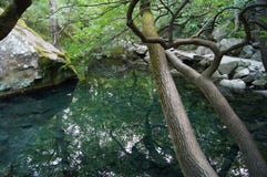 Sommar sjö i Ukraina royaltyfri bild Sommar sjö i Ukraina royaltyfri bild