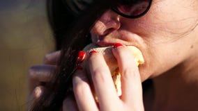 Sommar utomhus stäng sig upp, ståenden av den härliga brunettkvinnan, bärande solglasögon, med apetite som äter fastfood arkivfilmer Sommar utomhus stäng sig upp, ståenden av den härliga brunettkvinnan, bärande solglasögon, med apetite som äter fastfood arkivfilmer