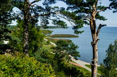 Sommarlandskap med vit sanddyn, buskar och himmel Curonian spottar, det baltiska havet Lokal för Unesco-världsarv arkivbild Sommarlandskap med vit sanddyn, buskar och himmel Curonian spottar, det baltiska havet Lokal för Unesco-världsarv arkivbild