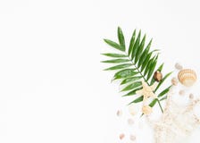 Sommarvibes Tropisk palmblad, snäckskal och sjöstjärna Lekmanna- lägenhet, bästa sikt royaltyfria bilder Sommarvibes Tropisk palmblad, snäckskal och sjöstjärna Lekmanna- lägenhet, bästa sikt royaltyfria bilder