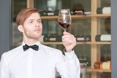 Sommelier che prova vino rosso fotografia stock Sommelier che prova vino rosso fotografia stock