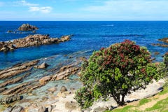 Sommer in Neuseeland Küstenlandschaft mit pohutukawa Baum stockfotos Sommer in Neuseeland Küstenlandschaft mit pohutukawa Baum stockfotos