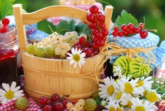 Sommerfrüchte und -konserven im Garten lizenzfreies stockfoto Sommerfrüchte und -konserven im Garten lizenzfreies stockfoto