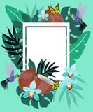 Sommerhintergrund mit Kolibris, Kokosnuss, Schmetterlingen und blauer Orchidee Blumenrahmen mit den kleinen Kolibris, die nahe fl stock abbildung Sommerhintergrund mit Kolibris, Kokosnuss, Schmetterlingen und blauer Orchidee Blumenrahmen mit den kleinen Kolibris, die nahe fl stock abbildung