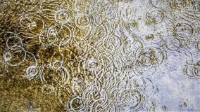 Sommerregentropfen und Wasserkräuselungen stockfotografie Sommerregentropfen und Wasserkräuselungen stockfotografie