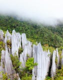Sommets de chaux au parc national de mulu de gunung Photo stock Sommets de chaux au parc national de mulu de gunung Photo stock