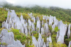 Sommets de chaux au parc national de mulu de gunung Images stock Sommets de chaux au parc national de mulu de gunung Images stock