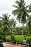 Son My, Vietnam - March 23, 2016: The My Lai Massacre memorial site. The My Lai massacre was the Vietnam War mass killing of betwe. En 347 and 504 unarmed royalty free stock photos Son My, Vietnam - March 23, 2016: The My Lai Massacre memorial site. The My Lai massacre was the Vietnam War mass killing of betwe. En 347 and 504 unarmed royalty free stock photos