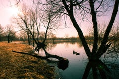 Sonnenaufganglandschaft mit blauem See und Enten lizenzfreie stockbilder Sonnenaufganglandschaft mit blauem See und Enten lizenzfreie stockbilder