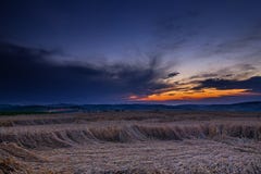 Sonnenuntergang und gereiftes Korn stockfoto Sonnenuntergang und gereiftes Korn stockfoto