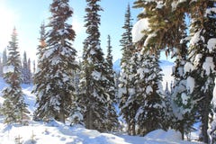 Sonniger Tag in einem M?rchenland des verschneiten Winters stockfotos Sonniger Tag in einem M?rchenland des verschneiten Winters stockfotos