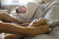 Sono na cama com um cão de estimação imagens de stock royalty free Sono na cama com um cão de estimação imagens de stock royalty free