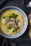 Sopa do creme do queijo com cogumelos, ervas e pão branco na placa cinzenta no fundo preto imagens de stock Sopa do creme do queijo com cogumelos, ervas e pão branco na placa cinzenta no fundo preto imagens de stock