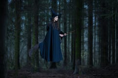 sopa flyghäxan Royaltyfri Fotografi sopa flyghäxan Royaltyfri Fotografi