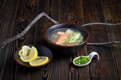 Sopa vegetal com peixes 2 fotografia de stock royalty free Sopa vegetal com peixes 2 fotografia de stock royalty free