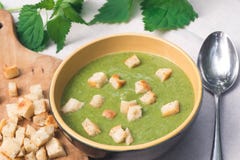 Sopa verde da provocação na bacia Imagem de Stock Sopa verde da provocação na bacia Imagem de Stock