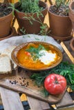 Sopa ácida shchi da couve do russo tradicional com creme de leite e ervas em uma tabela de madeira com pão, pimenta e salsa foto de stock Sopa ácida shchi da couve do russo tradicional com creme de leite e ervas em uma tabela de madeira com pão, pimenta e salsa foto de stock