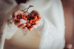 Sorba nelle mani della sposa fotografia stock libera da diritti Sorba nelle mani della sposa fotografia stock libera da diritti