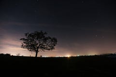 Sorpresa nell'ambito della luce delle stelle fotografia stock Sorpresa nell'ambito della luce delle stelle fotografia stock