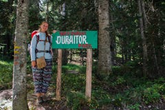 Sosnowy las Durmitor park narodowy w Montenegro Dziewczyny backpacker turysty stojaki obok pointeru parka zdjęcia stock Sosnowy las Durmitor park narodowy w Montenegro Dziewczyny backpacker turysty stojaki obok pointeru parka zdjęcia stock