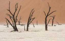 Sossusvlei in Namib Desert, Namibia Stock Image Sossusvlei in Namib Desert, Namibia Stock Image