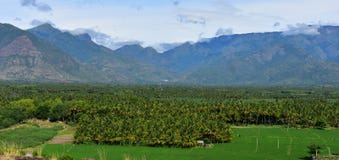 Sothuparai Dam surrounding with Mountain and coconut trees