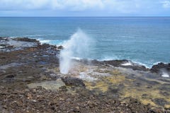 Soufflure de médisance de klaxon, Poipu, Kauai, Hawaï images libres de droits Soufflure de médisance de klaxon, Poipu, Kauai, Hawaï images libres de droits