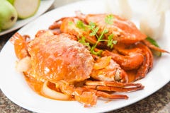 Soupe rouge frite à crabe avec des herbes sur le plat blanc Photos stock Soupe rouge frite à crabe avec des herbes sur le plat blanc Photos stock
