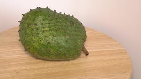 Soursop, Custard Apple, Annona muricata L na drewnianym stole zdjęcie stock Soursop, Custard Apple, Annona muricata L na drewnianym stole zdjęcie stock