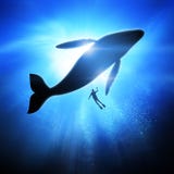Sous les vagues Photos libres de droits Sous les vagues Photos libres de droits
