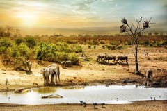 South African Safari Wildlife Fantasy Scene Royalty Free Stock Image South African Safari Wildlife Fantasy Scene Royalty Free Stock Image