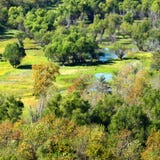 Southern Illinois Wetland Landscape Stock Photo Southern Illinois Wetland Landscape Stock Photo